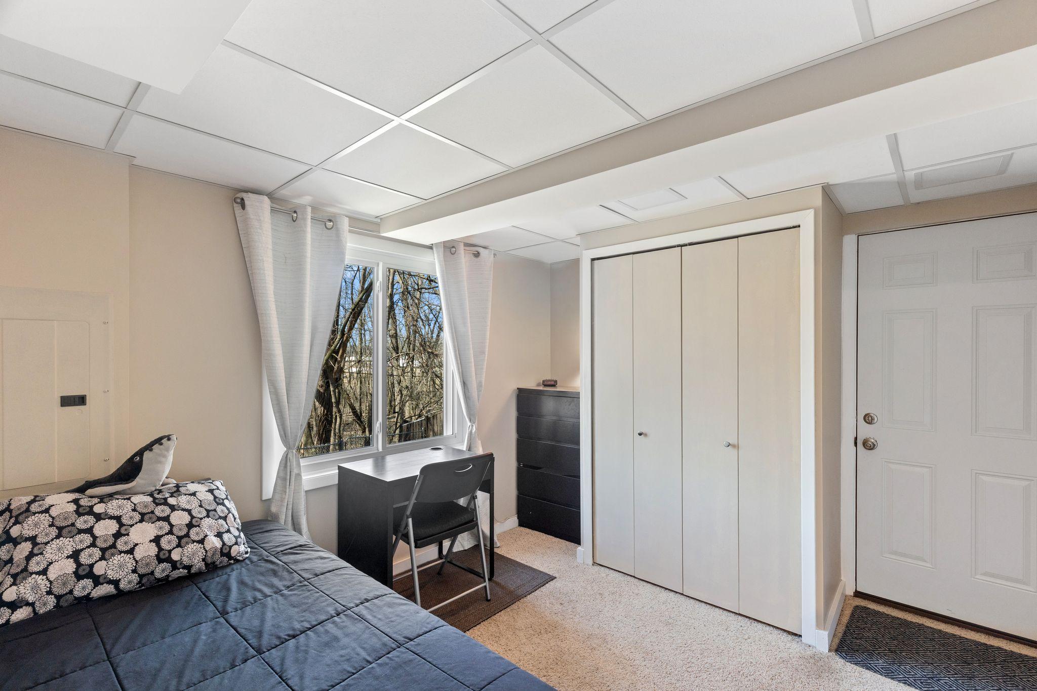 Lower Level Bedroom