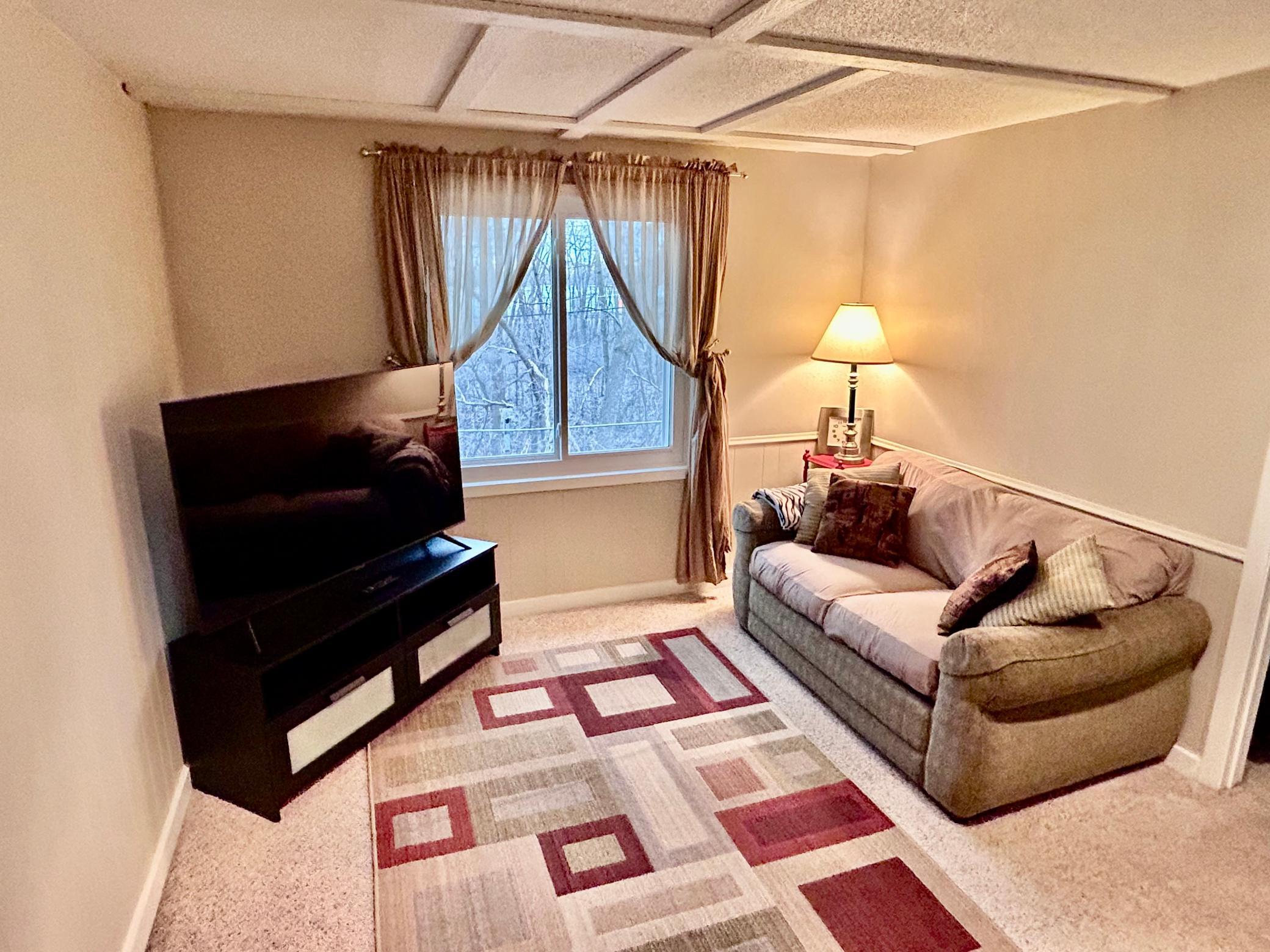 Lower level family room