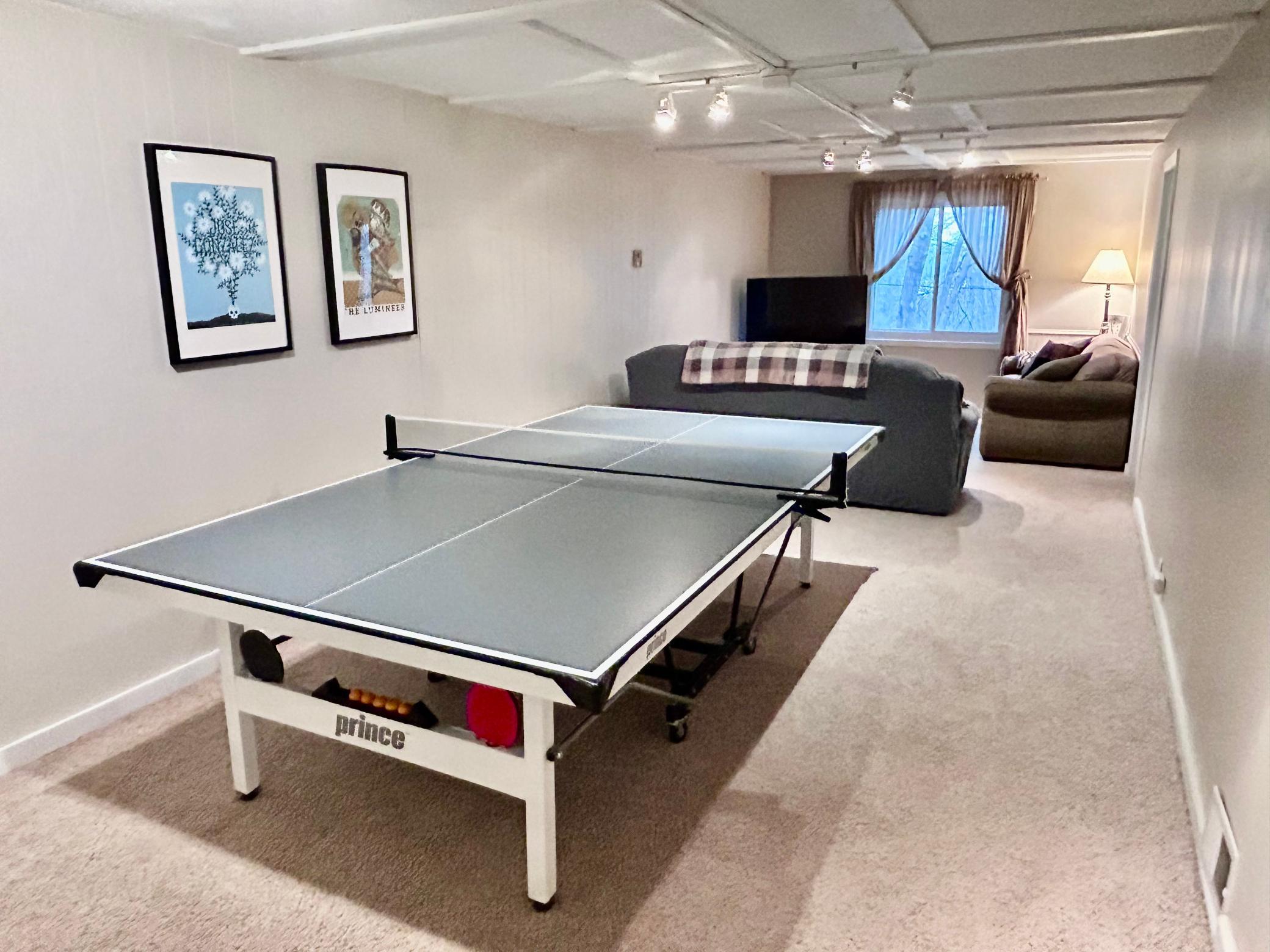 Large lower level family room