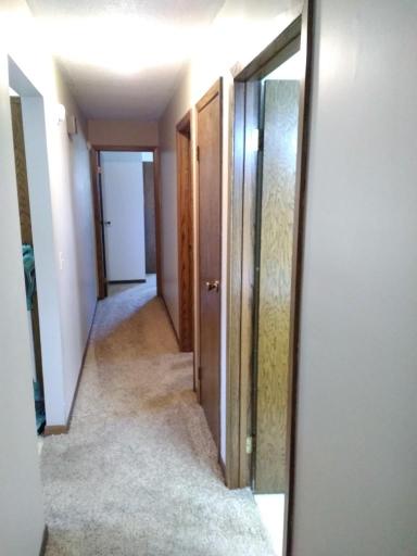 25344 Lagrand Road, Browerville, MN 56438