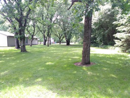P_20260608_144521.jpg