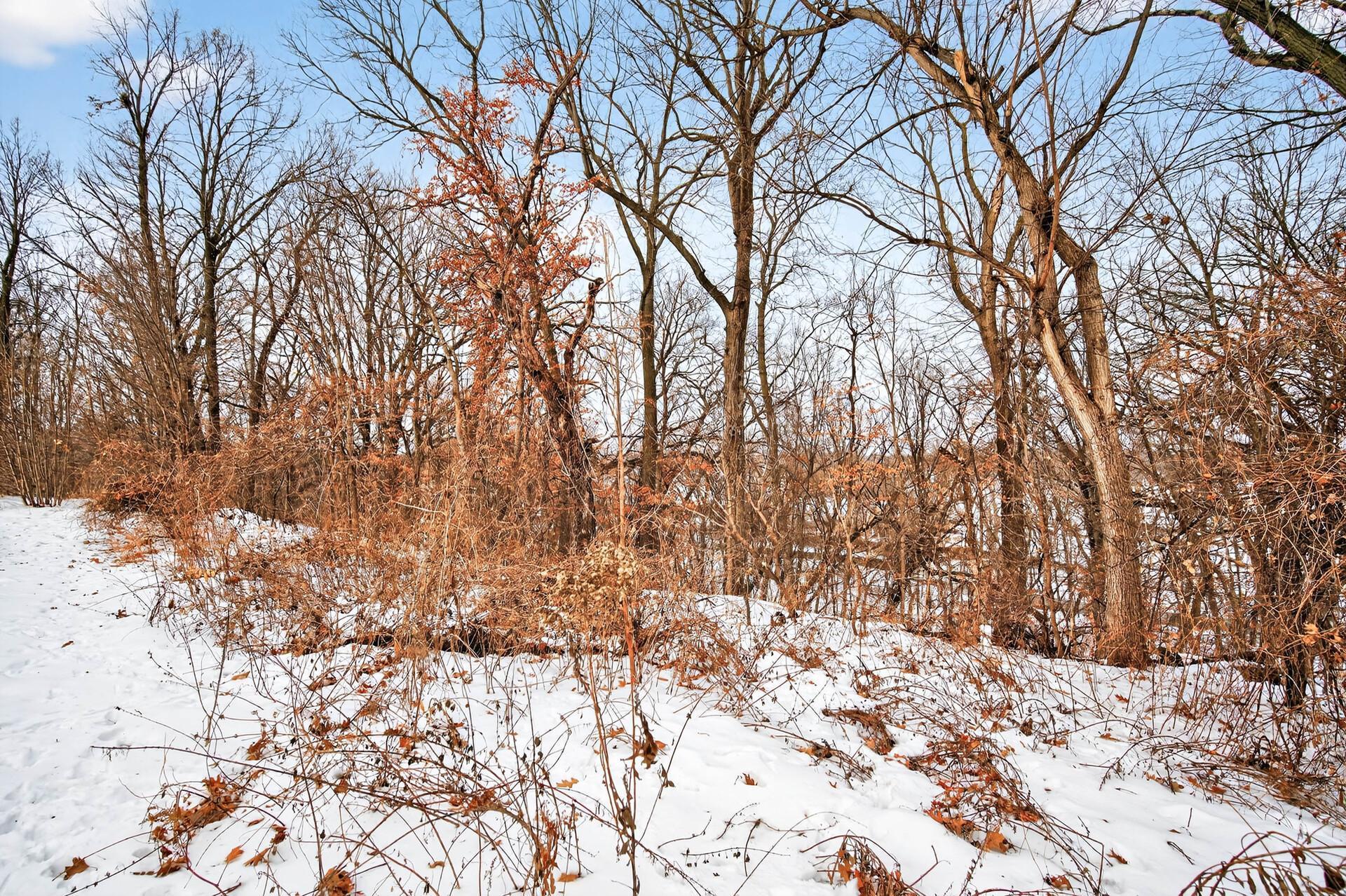 Yes, that's the Crow River through the trees on this beautiful 2+ acre lot.