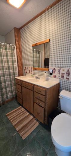 In-law suite bathroom