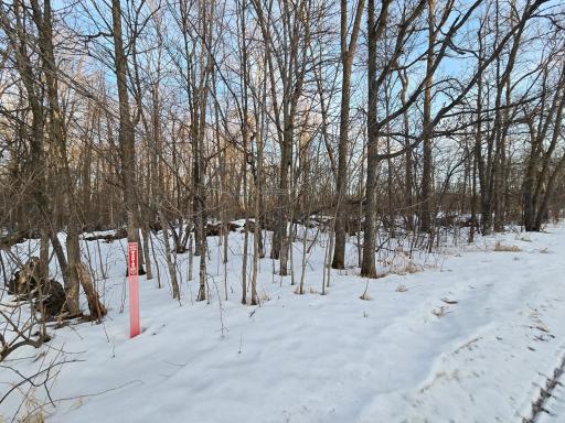 TBD Highway 47, Isle, MN 56342
