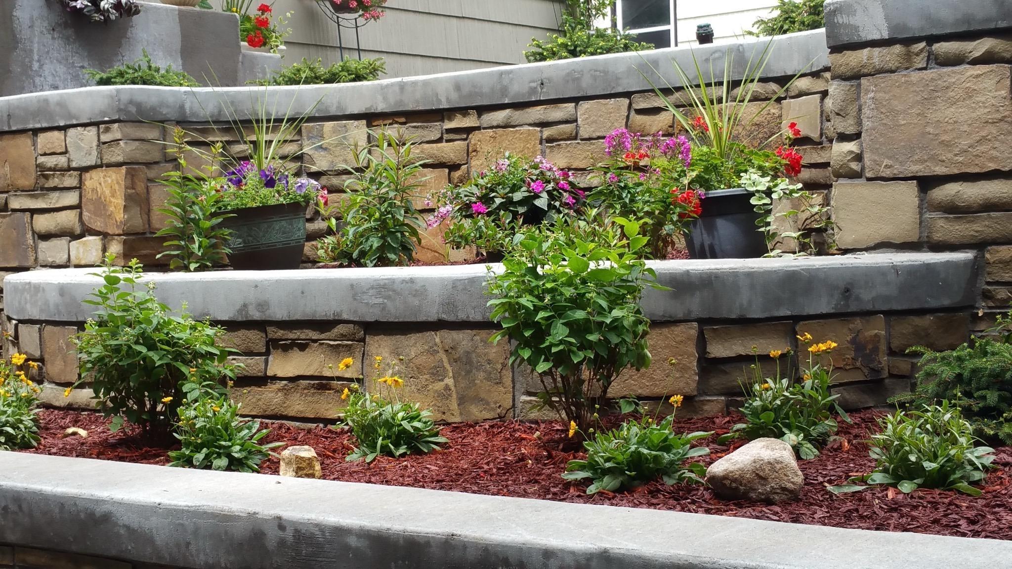 Showcase your favorite flowers