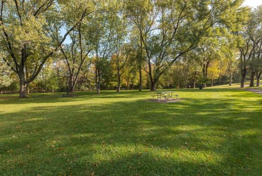 411 Dorland Place, Saint Paul, MN 55119