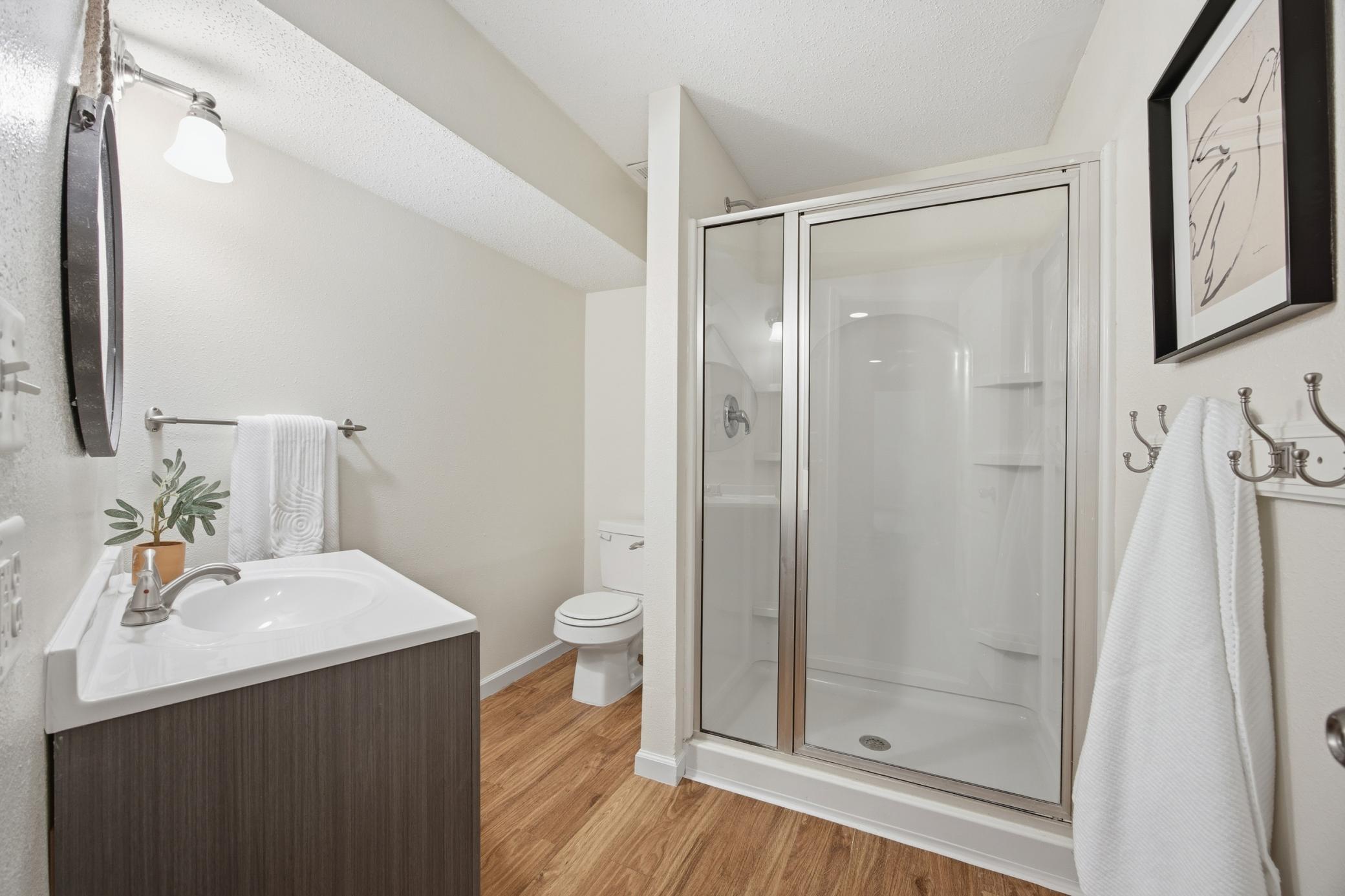 basement bathroom
