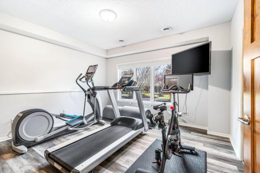 Lower level bedroom currently utilized as an exercise room