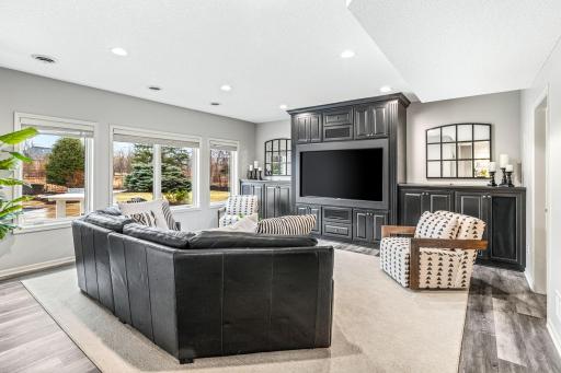 Lower level family room facing the backyard