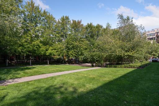 200 Park Avenue, 110, Minneapolis, MN 55415