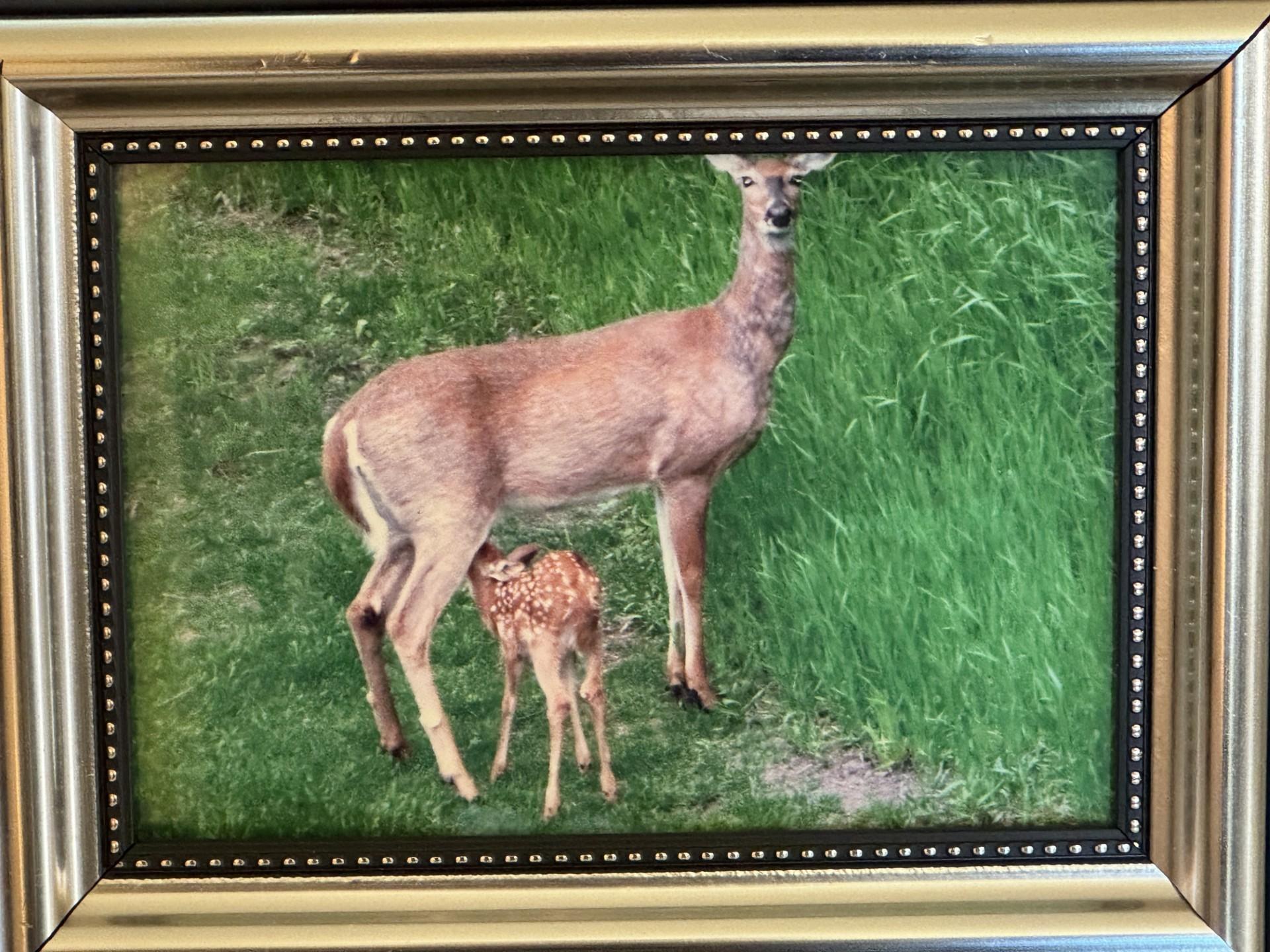 Taken right outside!