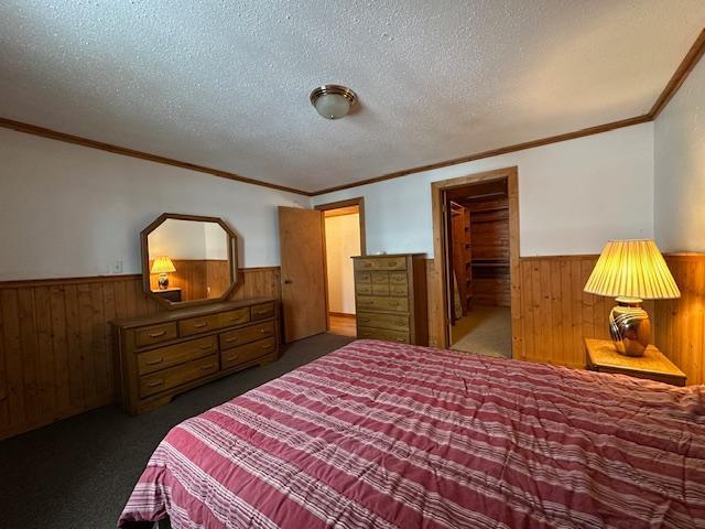 Basement Bedroom and Large Walk In Closet