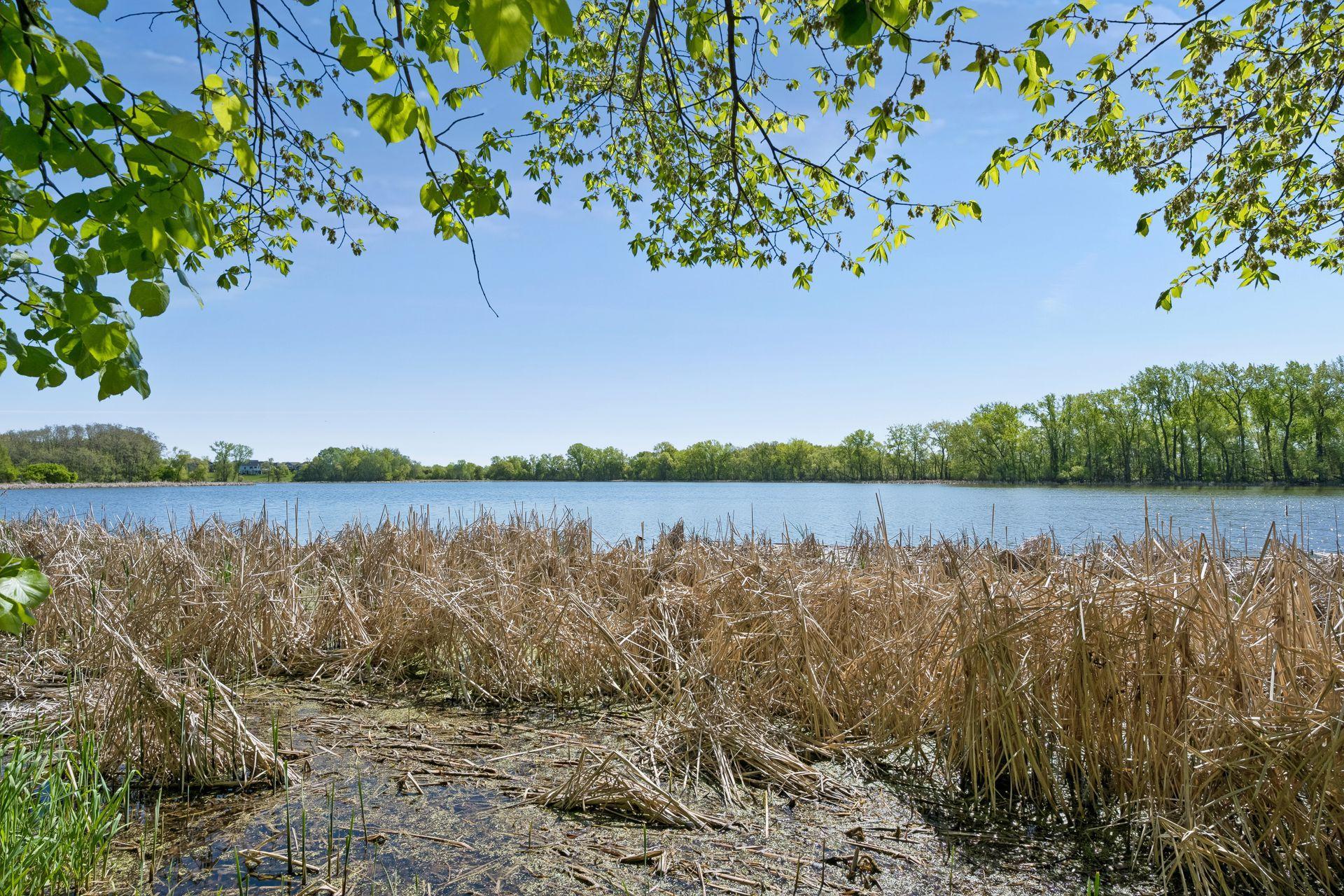 Private Dock allowed on your private lakeshore