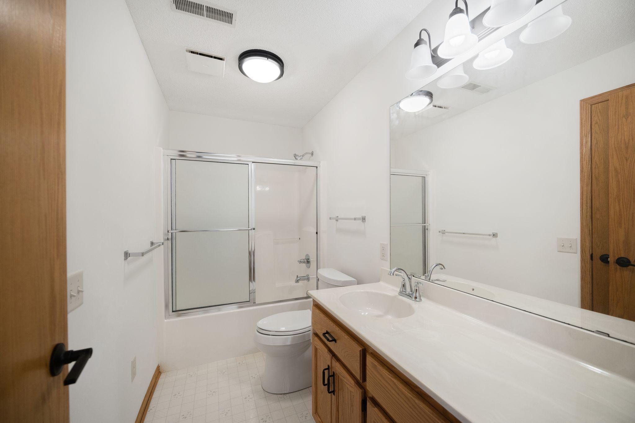 Lower Level bathroom