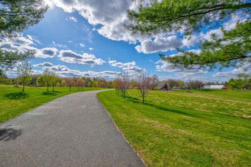 The maple-tree-lined paved driveway