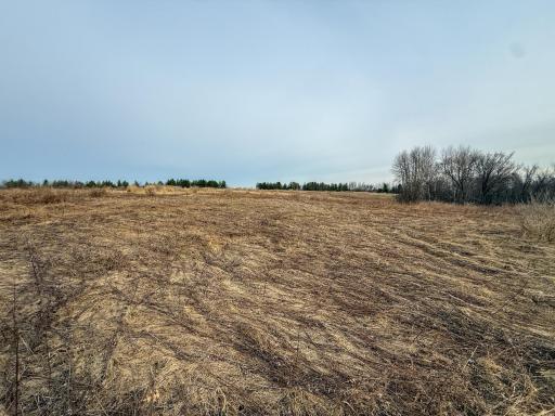 11719 Ridgeview Road, Hokah, MN 55941