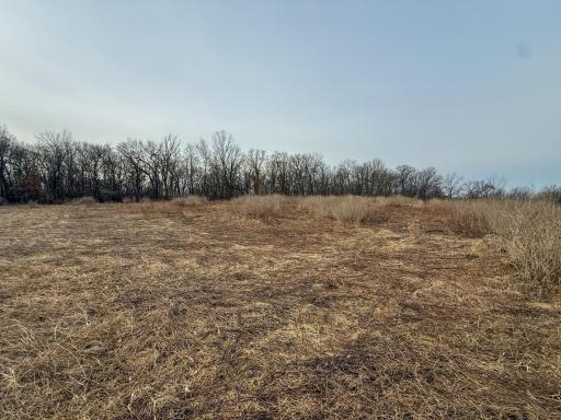 11719 Ridgeview Road, Hokah, MN 55941