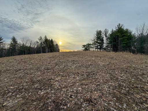 11719 Ridgeview Road, Hokah, MN 55941