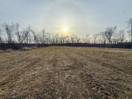 11719 Ridgeview Road, Hokah, MN 55941
