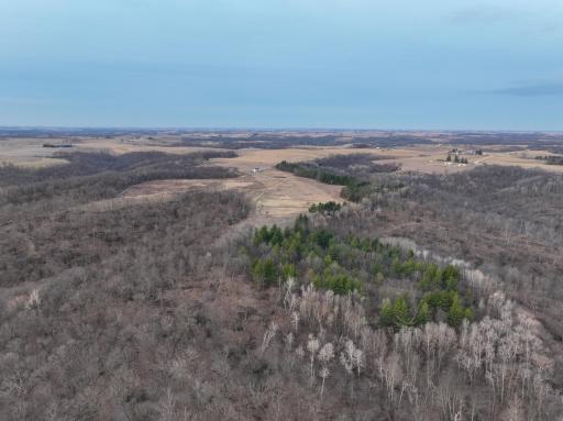 11719 Ridgeview Road, Hokah, MN 55941
