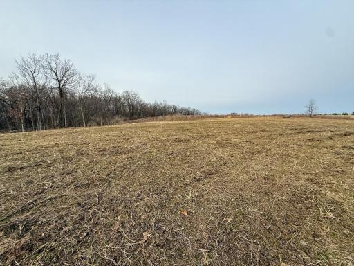 11719 Ridgeview Road, Hokah, MN 55941