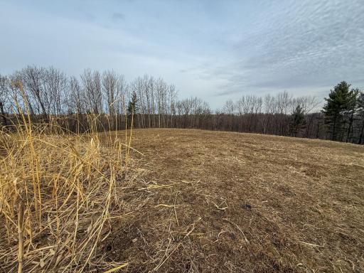 11719 Ridgeview Road, Hokah, MN 55941