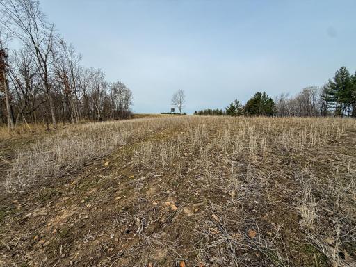 11719 Ridgeview Road, Hokah, MN 55941