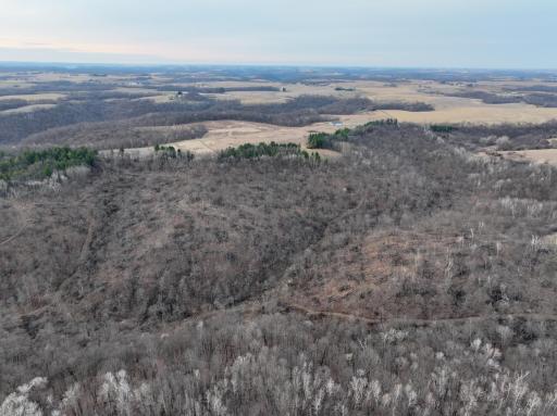 11719 Ridgeview Road, Hokah, MN 55941