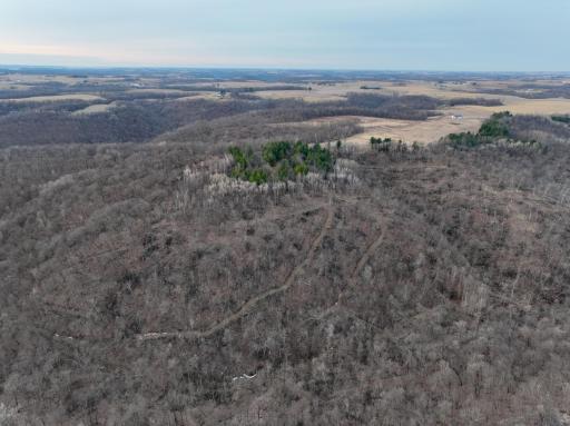 11719 Ridgeview Road, Hokah, MN 55941