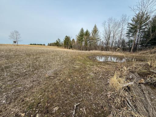 11719 Ridgeview Road, Hokah, MN 55941