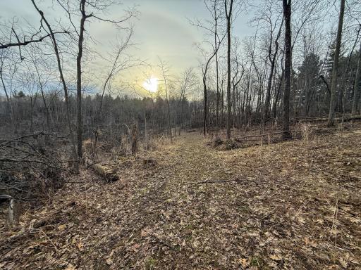 11719 Ridgeview Road, Hokah, MN 55941