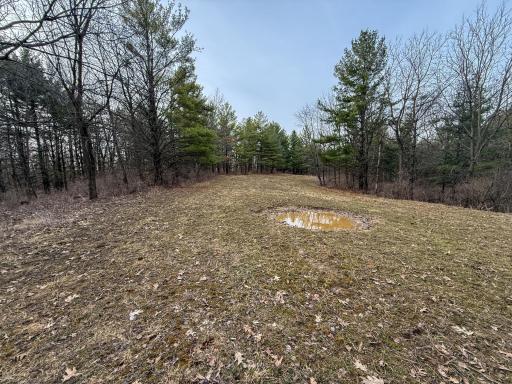 11719 Ridgeview Road, Hokah, MN 55941