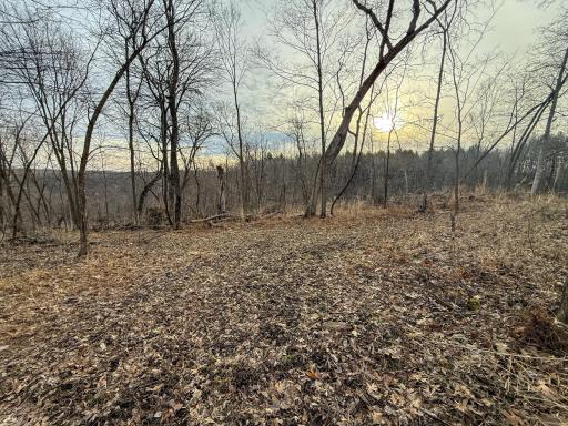11719 Ridgeview Road, Hokah, MN 55941