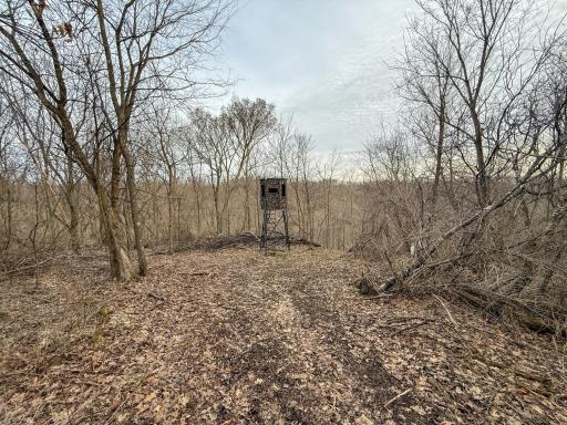 11719 Ridgeview Road, Hokah, MN 55941