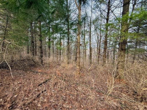 11719 Ridgeview Road, Hokah, MN 55941