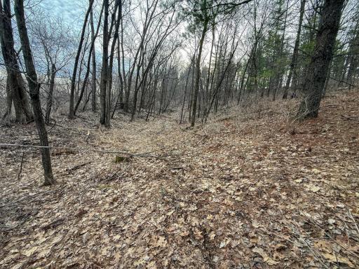 11719 Ridgeview Road, Hokah, MN 55941