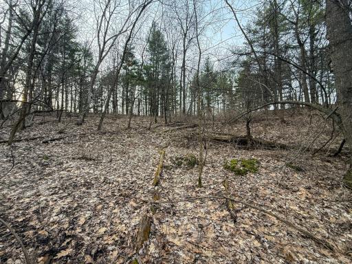 11719 Ridgeview Road, Hokah, MN 55941