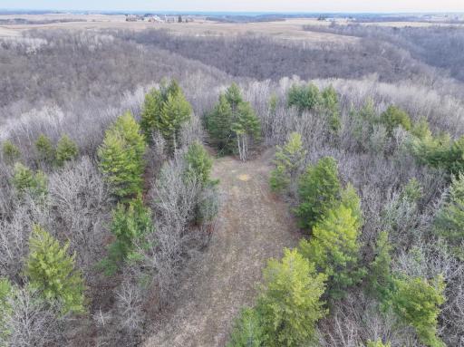 11719 Ridgeview Road, Hokah, MN 55941
