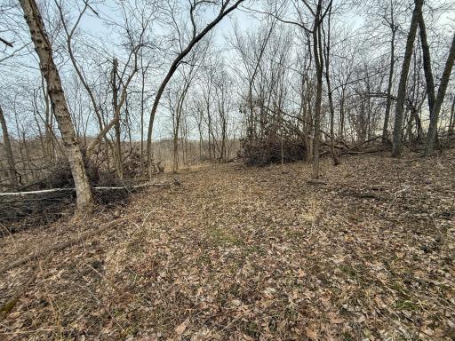 11719 Ridgeview Road, Hokah, MN 55941