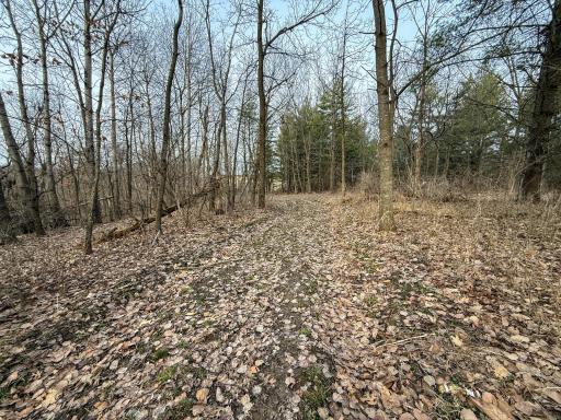 11719 Ridgeview Road, Hokah, MN 55941