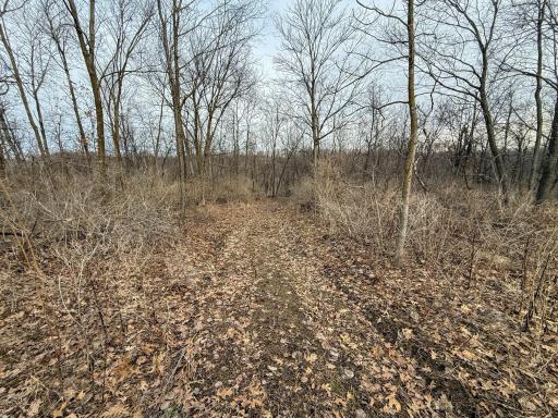 11719 Ridgeview Road, Hokah, MN 55941