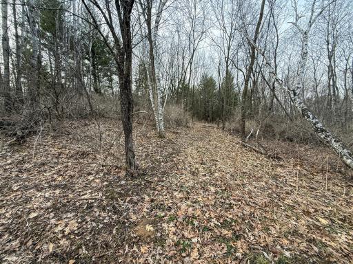 11719 Ridgeview Road, Hokah, MN 55941