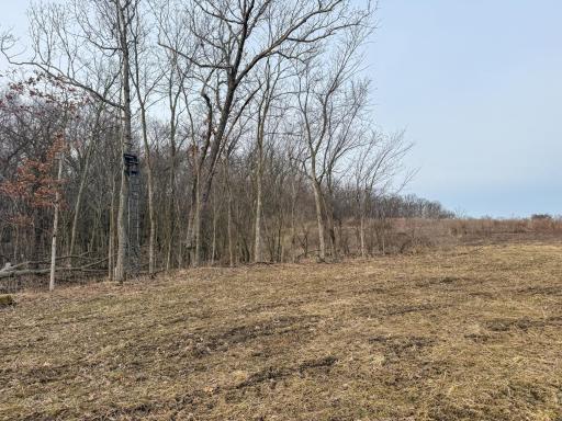 11719 Ridgeview Road, Hokah, MN 55941
