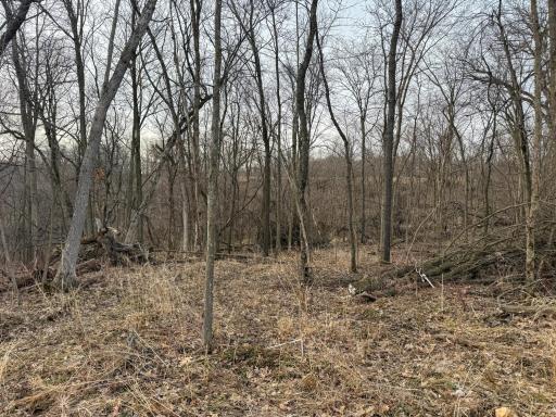 11719 Ridgeview Road, Hokah, MN 55941