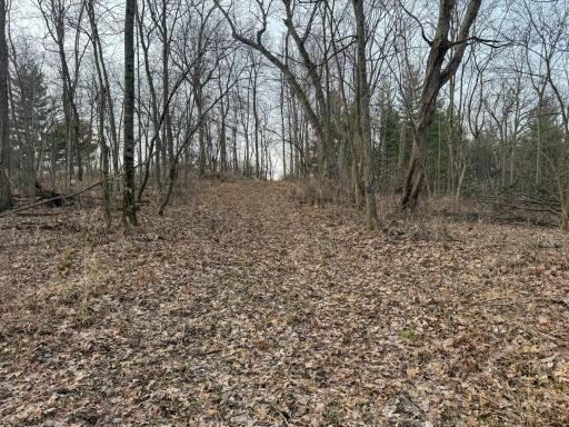 11719 Ridgeview Road, Hokah, MN 55941