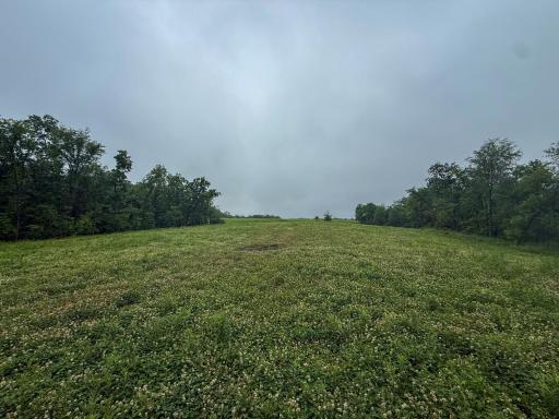 11719 Ridgeview Road, Hokah, MN 55941