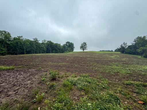 11719 Ridgeview Road, Hokah, MN 55941