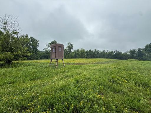 11719 Ridgeview Road, Hokah, MN 55941