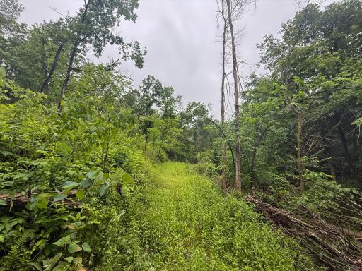 11719 Ridgeview Road, Hokah, MN 55941