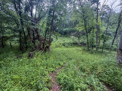 11719 Ridgeview Road, Hokah, MN 55941